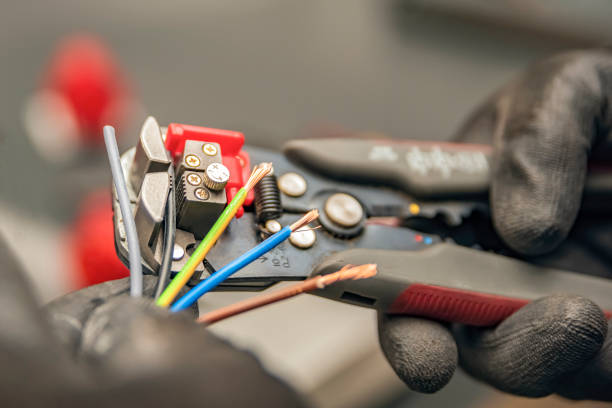 Best Electric Panel Repair  in Homosassa, FL