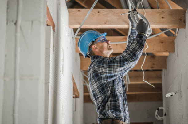 Best Local Electrician Companies  in Homosassa, FL